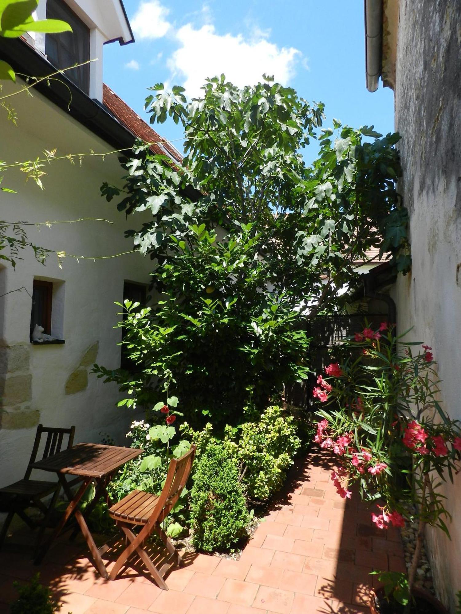 Casa.Peiso Διαμέρισμα Mörbisch am See Εξωτερικό φωτογραφία