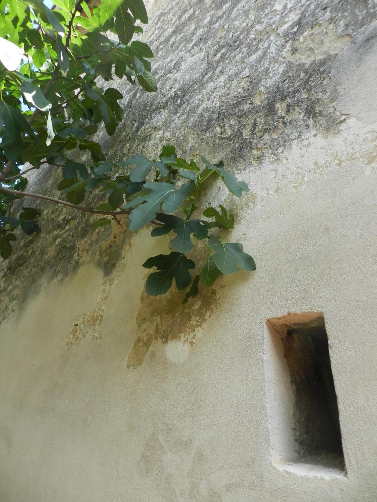 Casa.Peiso Διαμέρισμα Mörbisch am See Εξωτερικό φωτογραφία