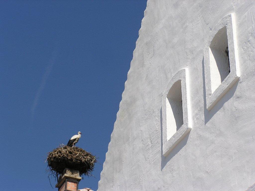 Casa.Peiso Διαμέρισμα Mörbisch am See Εξωτερικό φωτογραφία